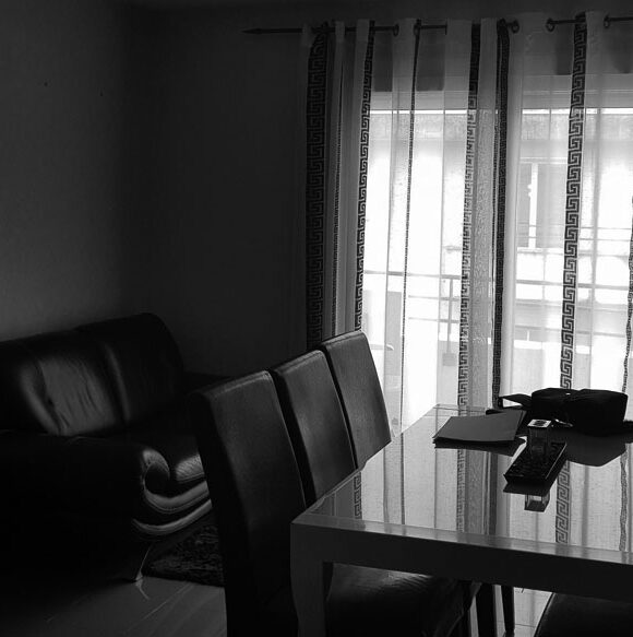 Première pendaison : Décoration intérieur Asnières 92 — après — photo 3